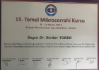Doç. Dr. Serdar Toker El Cerrahisi ve Mikrocerrahi sertifikası