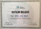 Aile Danışmanı Burcu Lale Yayla Aile Danışmanı sertifikası