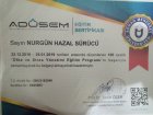 Psk. Dan. Hazal Sürücü Psikoloji sertifikası