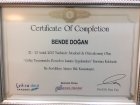 Dt. Bende Doğan Diş Hekimi sertifikası