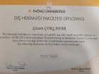 Dt. Gizem Çokçapar Diş Hekimi sertifikası