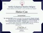 Psk. Hatice Çan Psikoloji sertifikası