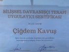 Psk. Çiğdem Kavuş Psikoloji sertifikası
