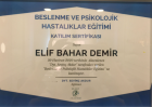 Dyt. Elif Bahar Demir Diyetisyen sertifikası