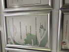 Uzm. Dr. Dt. Sancar Şimşek Diş Hekimi sertifikası