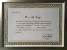 Prof. Dr. Ayşen Topalkara Göz Hastalıkları sertifikası