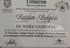 Dyt. Naile Ganioğlu Diyetisyen sertifikası