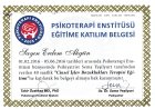 Uzm. Kl. Psk. Erdem Akgün Psikoloji sertifikası