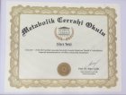 Uzm. Dyt. Dilara Terzi Diyetisyen sertifikası