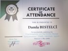 Fzt. Damla Bestelci Fizyoterapi sertifikası