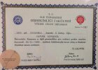 Dt. Yaman Yamangil Diş Hekimi sertifikası