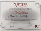 Uzm. Kl. Psk. Yasin İlker Psikoloji sertifikası