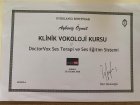 Uzman Dil ve Konuşma Terapisti Elif Aybeniz Özmet Dil Konuşma Bozuklukları sertifikası
