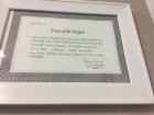 Prof. Dr. Ali Metin Görgüner Göğüs Hastalıkları sertifikası