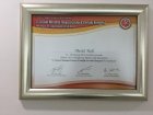 Op. Dr. Mesut Yeşil Üroloji sertifikası