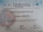 Fzt. Gülce Akgül Fizyoterapi sertifikası