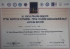 Op. Dr. Nurettin Ersöz İnce Kadın Hastalıkları ve Doğum sertifikası