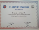 Uzm. Dr. Tarana Nahgiyeva Dahiliye - İç Hastalıkları sertifikası