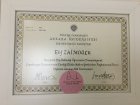Dr. Dt. Elif Zaimoğlu Gültepe Diş Hekimi sertifikası