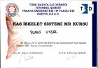 Op. Dr. Yunus Uysal Ortopedi ve Travmatoloji sertifikası