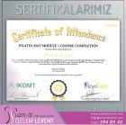 Uzm. Dr. Özlem Teberik Fiziksel Tıp ve Rehabilitasyon sertifikası