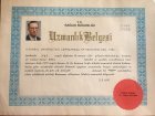 Prof. Dr. Cemal Tamer Erel Kadın Hastalıkları ve Doğum sertifikası