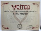 Klinik Psikolog  Nihan Dengizek Demir Psikoloji sertifikası