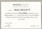 Uzm. Dr. Melis Mosavi Dermatoloji sertifikası