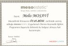 Uzm. Dr. Melis Mosavi Dermatoloji sertifikası