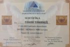 Dt. Yaman Yamangil Diş Hekimi sertifikası