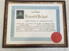 Op. Dr. Neşe Güney Çocuk Cerrahisi sertifikası
