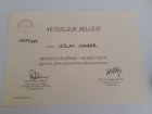 Pedagog Gülay Candar Pedagoji sertifikası