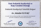 Prof. Dr. Abdullah Özyurt Çocuk Sağlığı ve Hastalıkları sertifikası