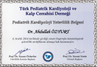 Prof. Dr. Abdullah Özyurt Çocuk Sağlığı ve Hastalıkları sertifikası