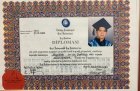 Op. Dr. Necati Şentürk Genel Cerrahi sertifikası