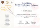 Op. Dr. Çağdaş Orman Plastik Rekonstrüktif ve Estetik Cerrahi sertifikası