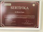 Uzm. Dr. Birsen Ergus Dermatoloji sertifikası