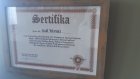 Op. Dr. Asil Yılmaz Genel Cerrahi sertifikası