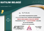 Uzm. Kl. Psk. Elif Gülaç Psikoloji sertifikası