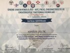 Doç. Dr. Hatice Çelik Kadın Hastalıkları ve Doğum sertifikası