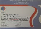 Doç. Dr. Mehtap Karameşe Plastik Rekonstrüktif ve Estetik Cerrahi sertifikası