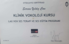 Dil ve Konuşma Terapisti Sercan Yıldız Can Dil Konuşma Bozuklukları sertifikası