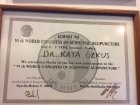 Prof. Dr. Kaya Özkuş Akupunktur sertifikası