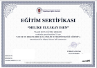 Psk. Melike Uluakay Esen Psikoloji sertifikası