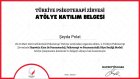 Psk. Dan. Şeyda Polat Psikolojik Danışman sertifikası