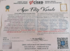 Pedagog Filiz Karalı Pedagoji sertifikası