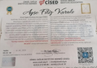Pedagog Filiz Karalı Pedagoji sertifikası