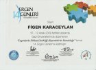 Uzm. Dr. Figen Karaceylan Çakmakçı Çocuk ve Ergen Psikiyatristi sertifikası