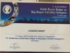 Uzman Dil ve Konuşma Terapisti Elif Aybeniz Özmet Dil Konuşma Bozuklukları sertifikası