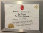 Prof. Dr. Mustafa Uğur Altuğ Üroloji sertifikası